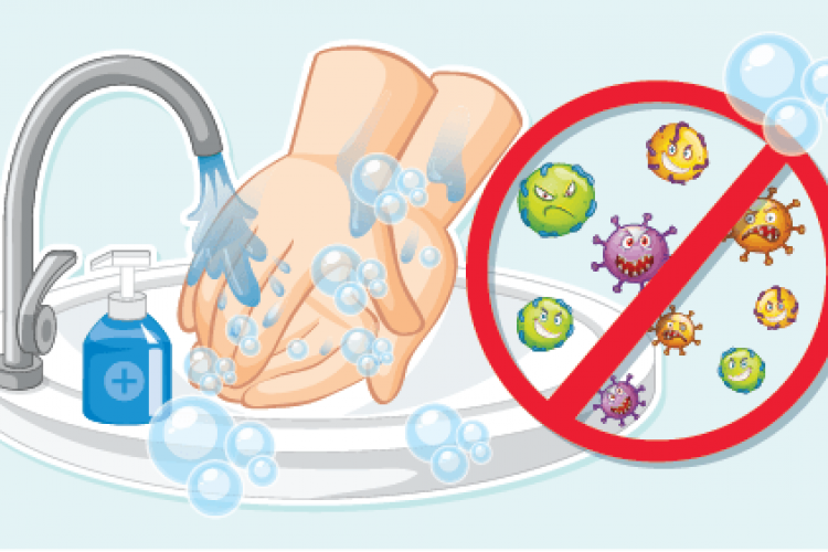Mâini curate, mâncare sigură